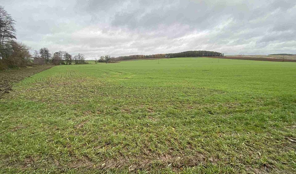 Prodej pole 19 275 m², Oráčov – náhled fotky 7