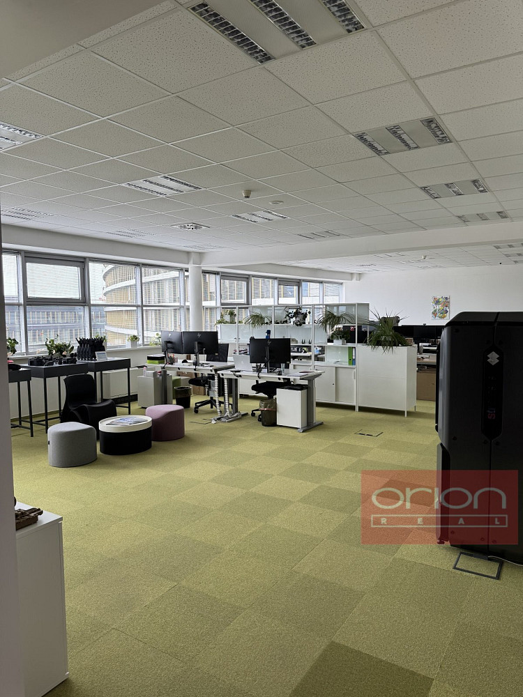Pronájem kanceláře 303 m²