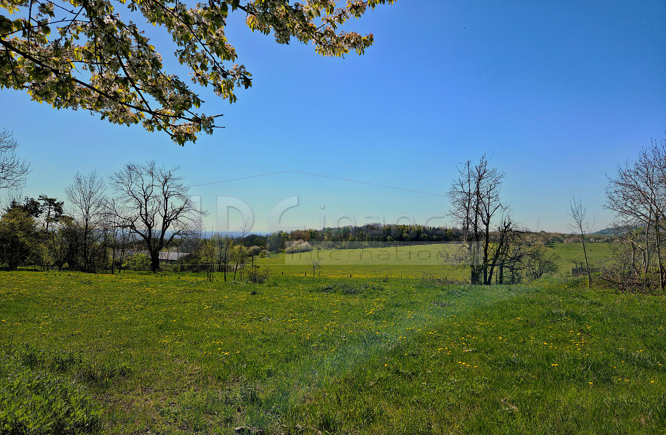 Prodej stavebního pozemku 3 539 m² – fotografie 3