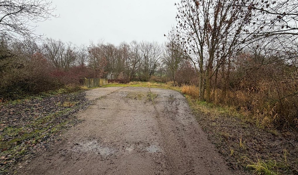 Prodej komerčního pozemku 15 490 m², Zabrušany – náhled fotky 2