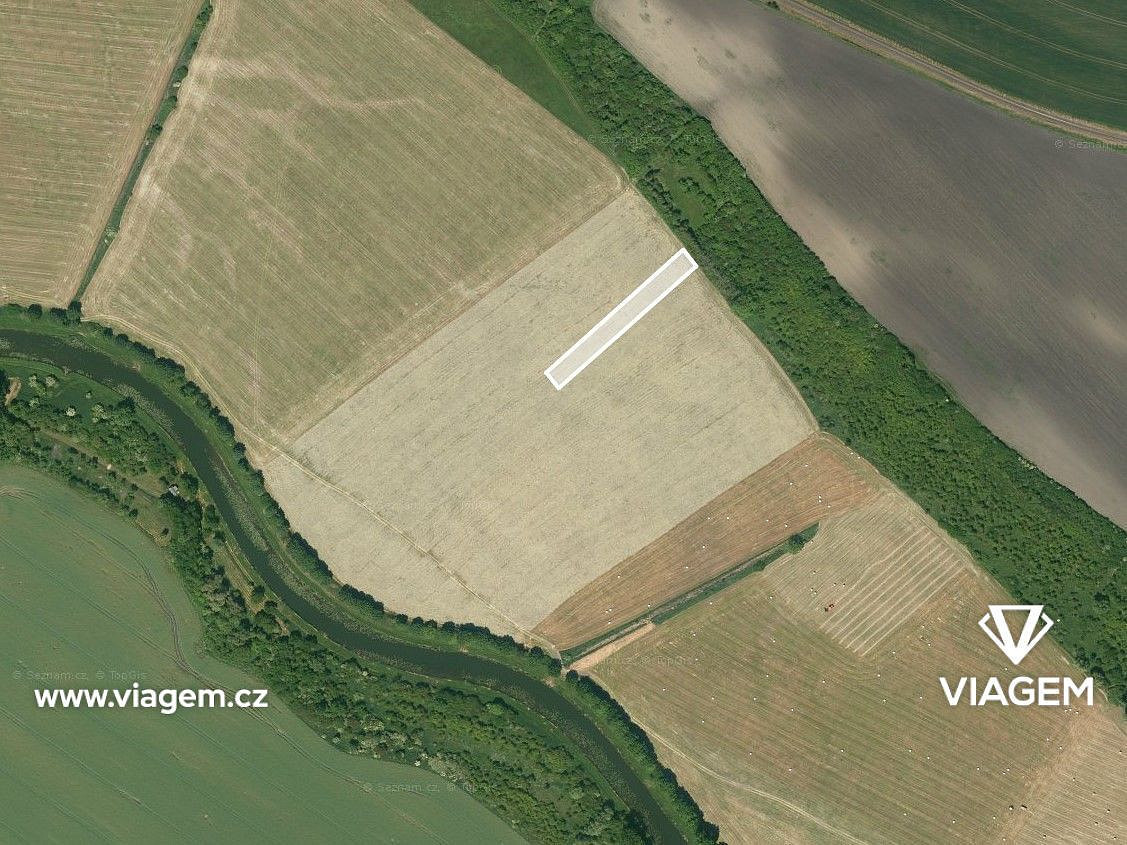Prodej pole 2 136 m² – fotografie 2