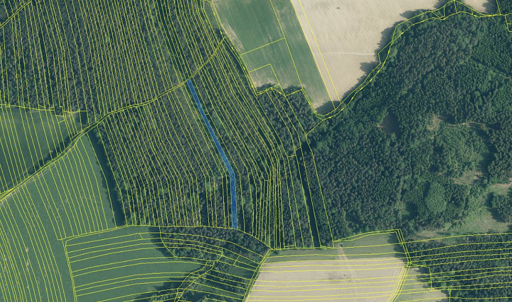 Prodej lesa 7 181 m², Ločenice – náhled fotky 11