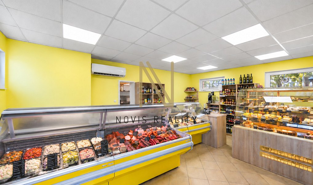 Prodej obchodních prostor 103 m², Nezvěstice – náhled fotky 4