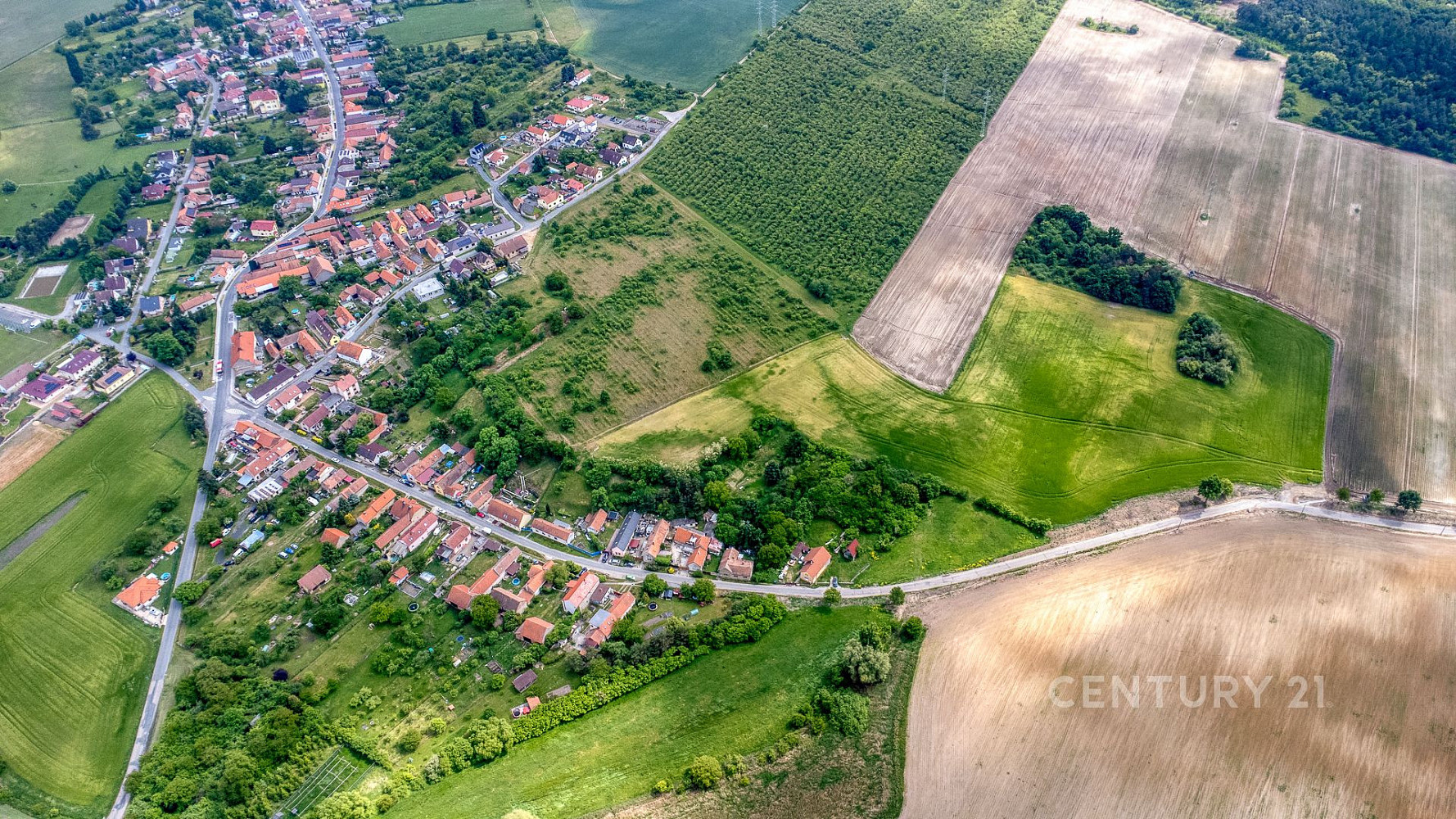 Fotka 14 z 17