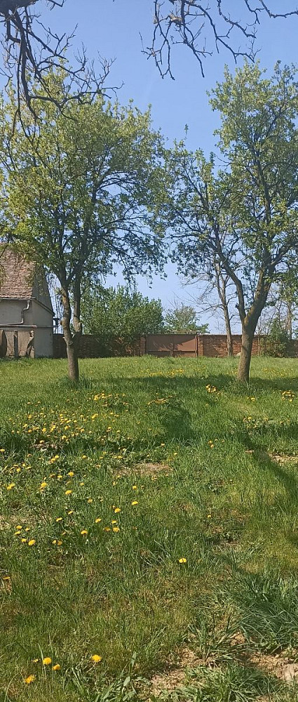 Prodej stavebního pozemku 510 m² — photo 3