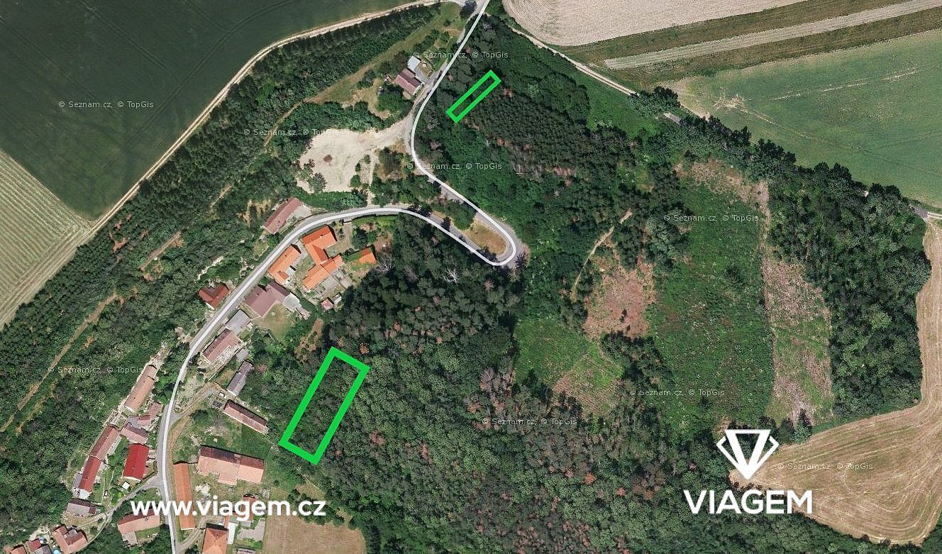 Prodej lesa 1 243 m²