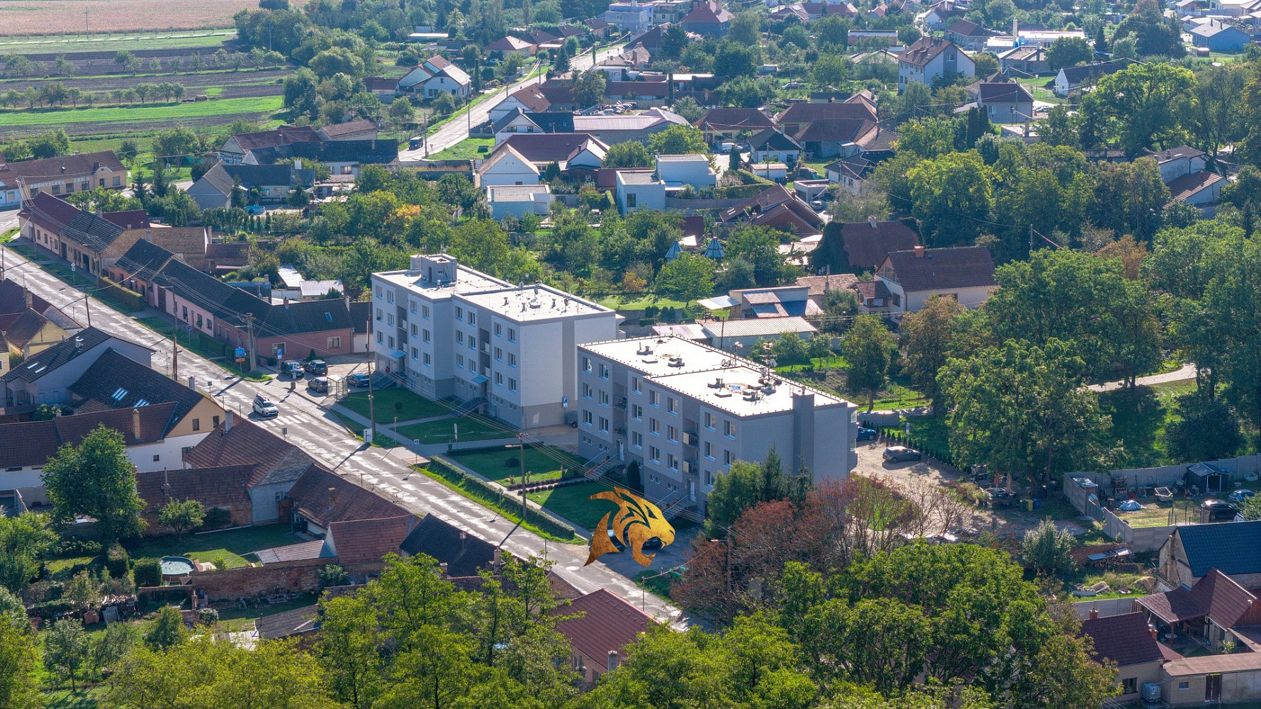 Fotka 4 z 17