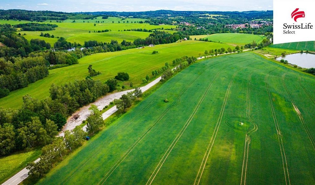 Prodej komerčního pozemku 2 856 m², Kunžak – náhled fotky 2