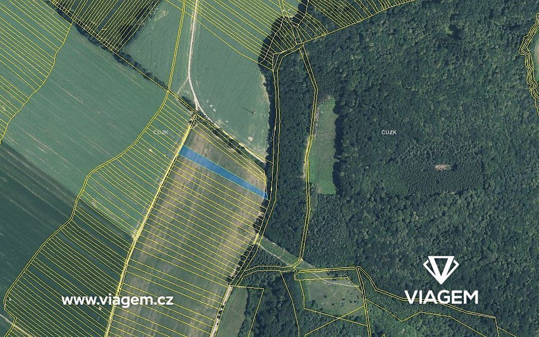 Prodej pole 3 700 m² – fotografie 3