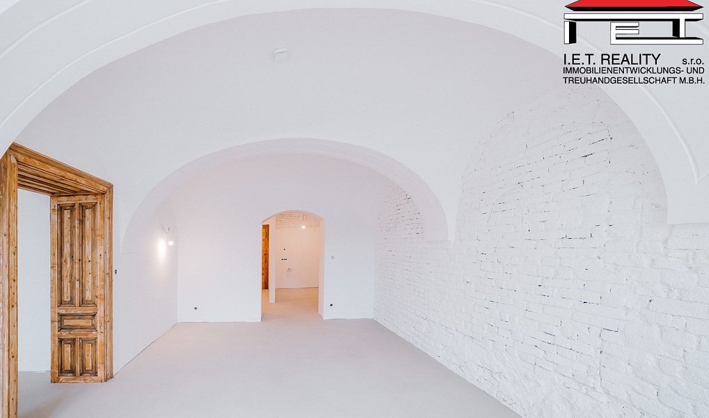 Prodej bytu atypického 405 m², Frýdek-Místek – náhled fotky 12