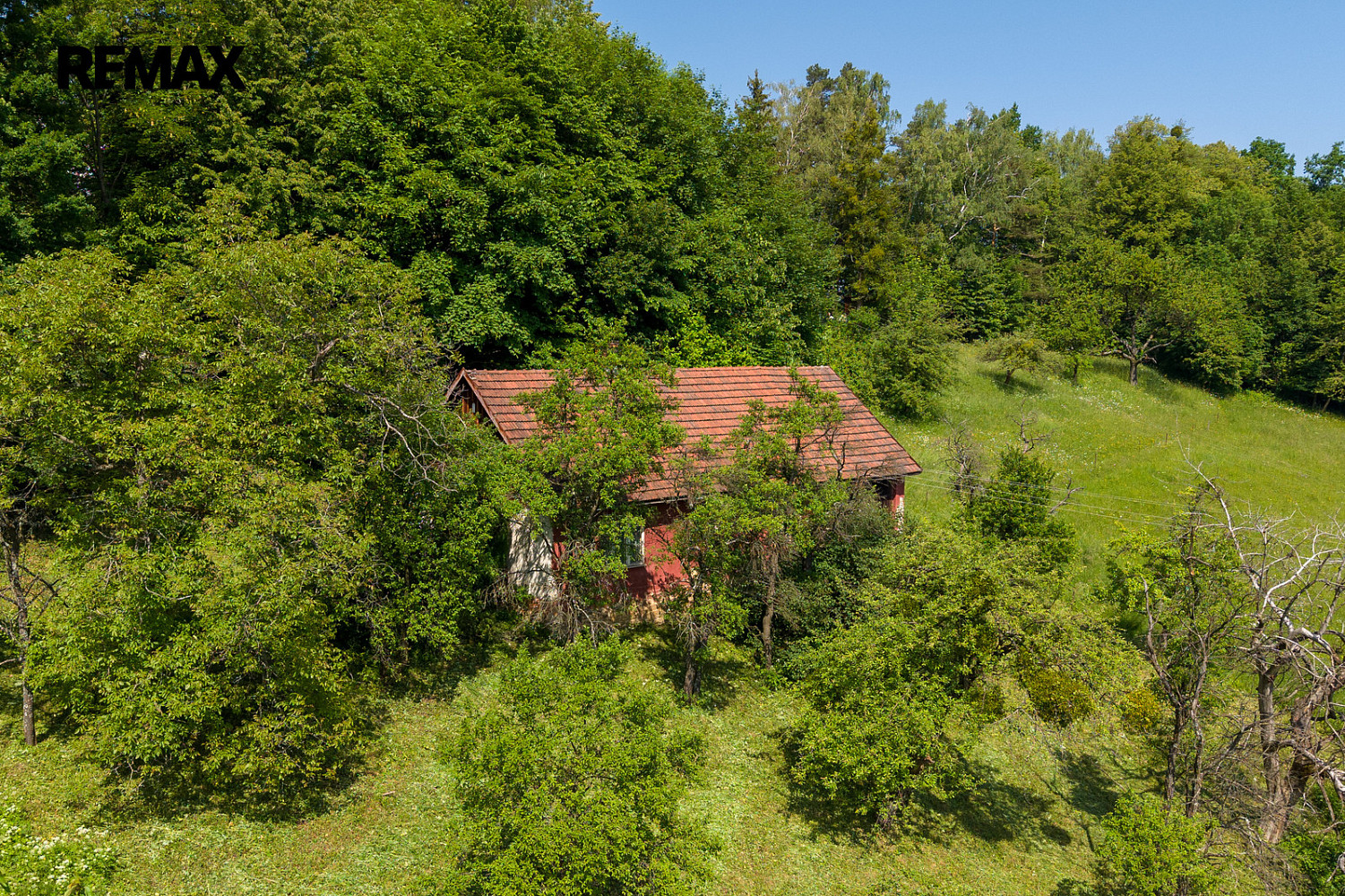 Prodej chaty/chalupy 80 m² s pozemkem 23 273 m² — photo 3