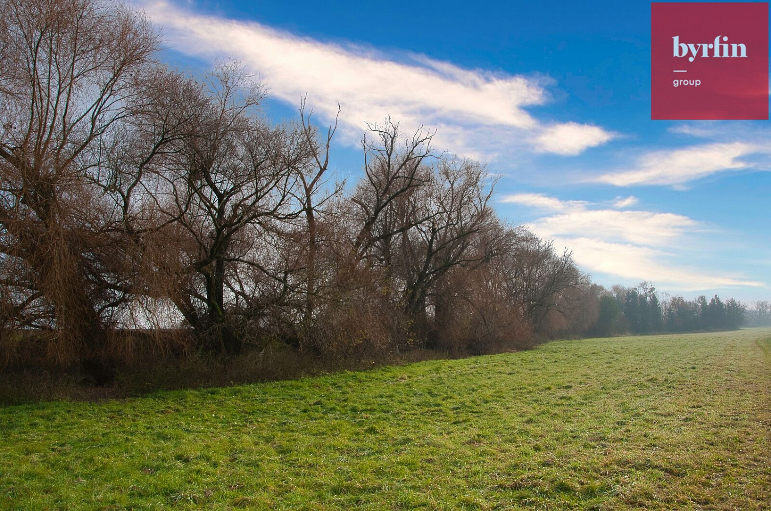 Prodej pole 604 m² – fotografie 5