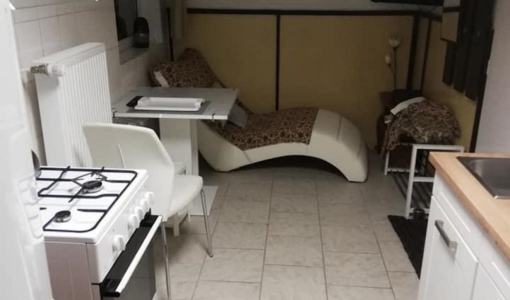 Pronájem bytu 1+1 40 m², Brno – náhled fotky 2