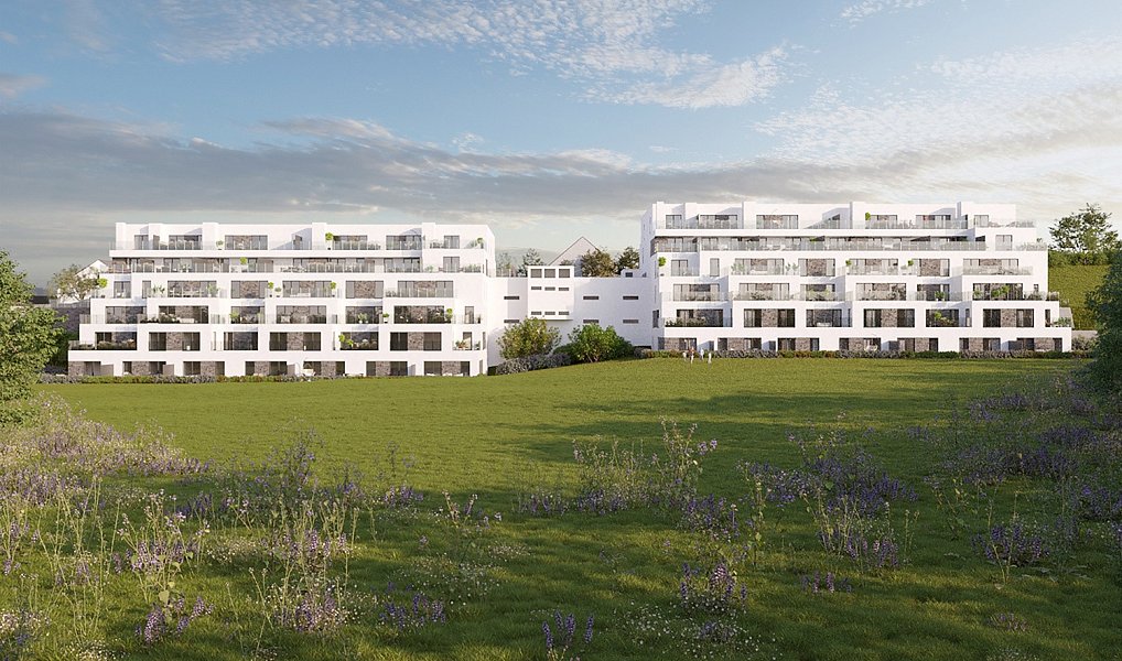 Prodej bytu 4+kk 291 m², Brno – náhled fotky 6