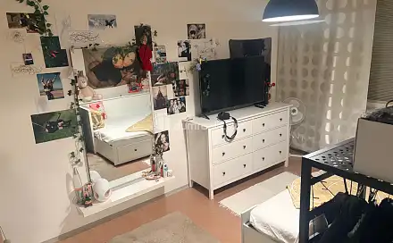 Pronájem bytu 1+1 32 m², Zd. Nejedlého, Mikulov, okres Břeclav