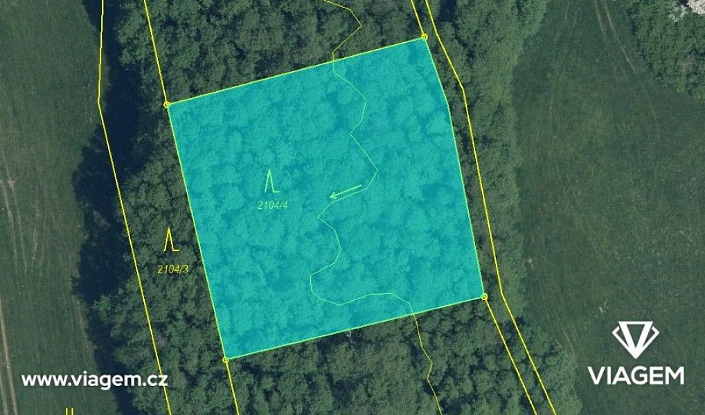 Prodej lesa 5 621 m², Košťálov – náhled fotky 4