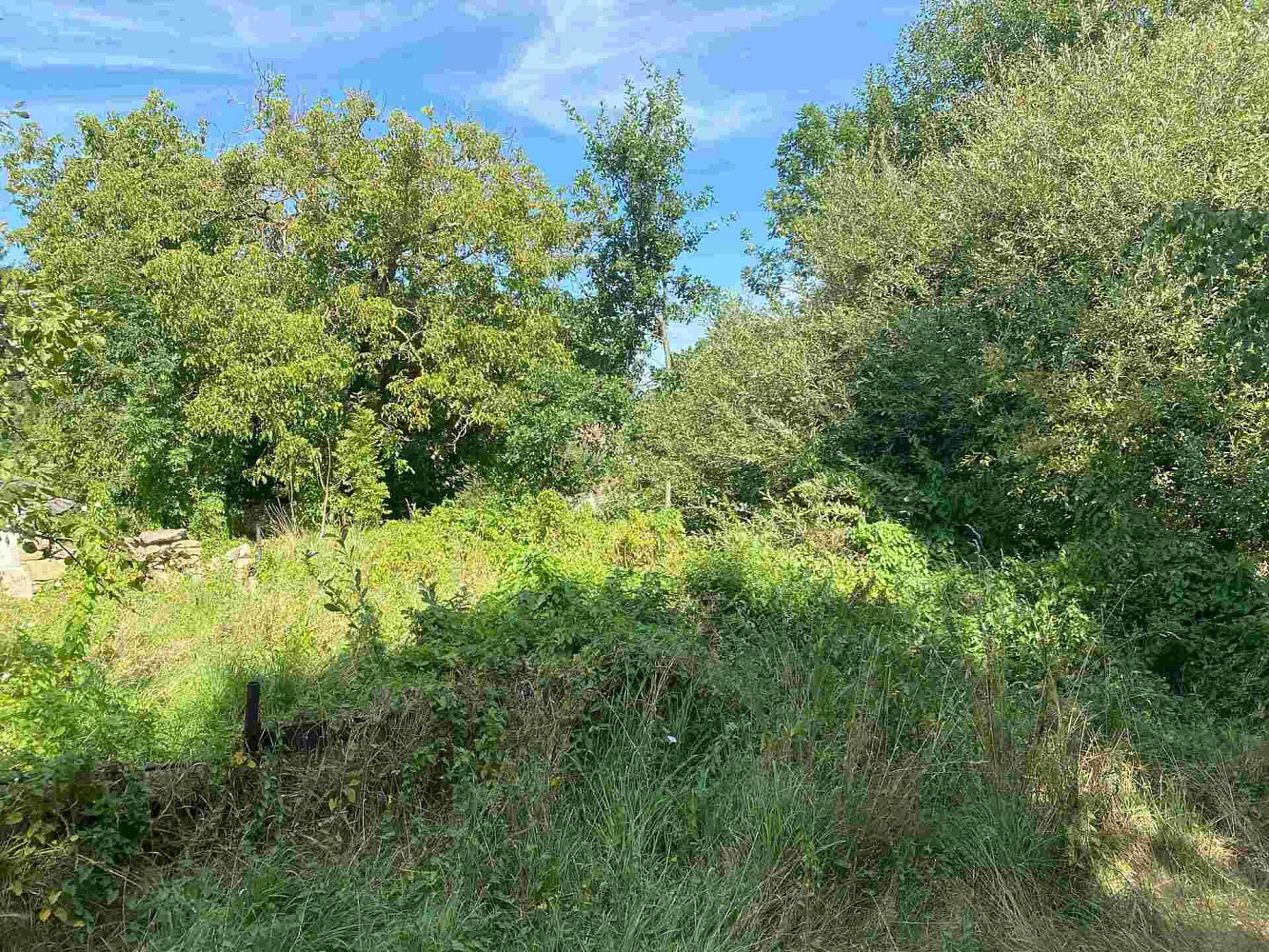 Prodej stavebního pozemku 2 842 m² – fotografie 5