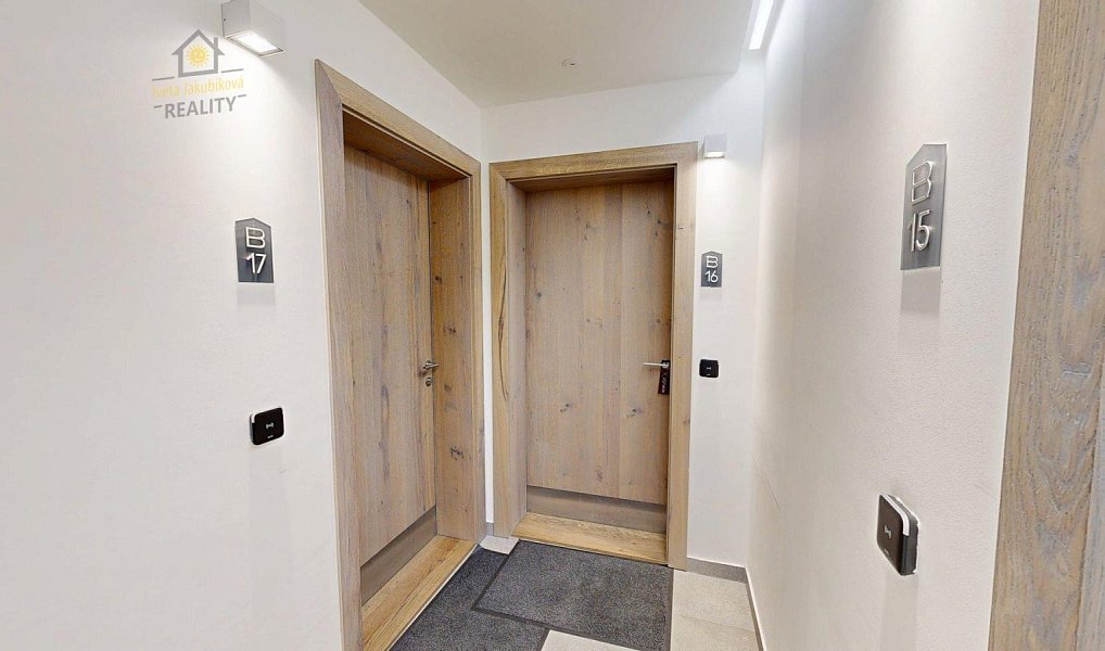Prodej bytu 1+kk 56 m², Vítkovice – náhled fotky 18