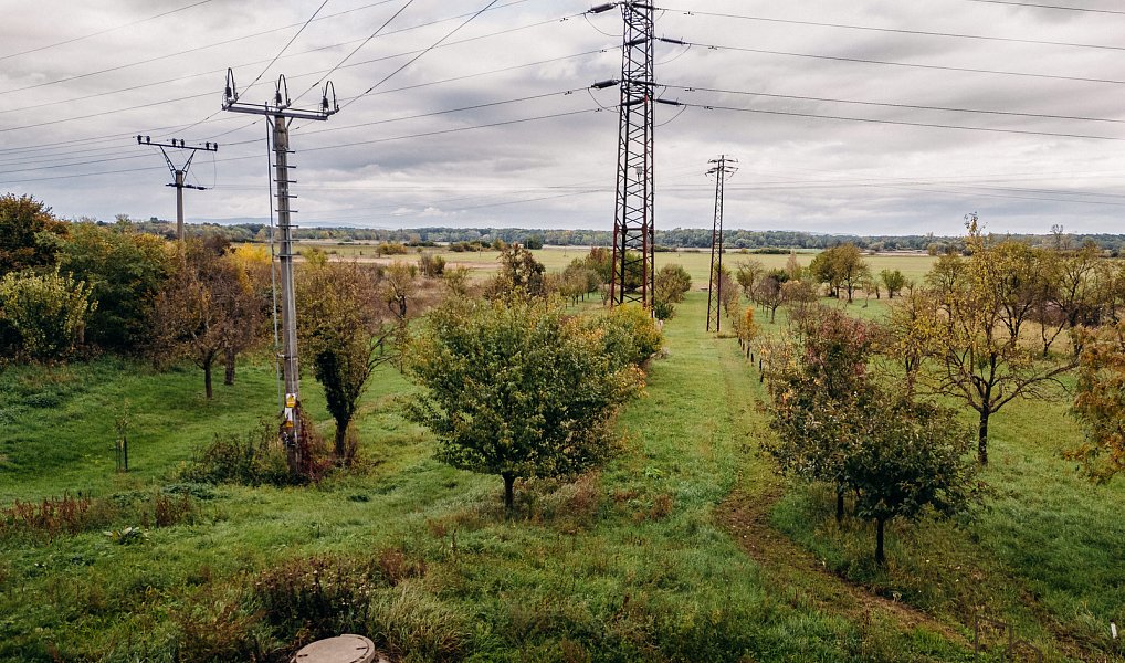 Prodej vinného sklepa s ovocným sadem 956 m2 Mikulčice, Mikulčice – náhled fotky 16