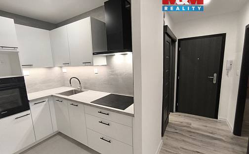 Pronájem bytu 3+1 60 m², Kmochova, Ústí nad Labem - Severní Terasa