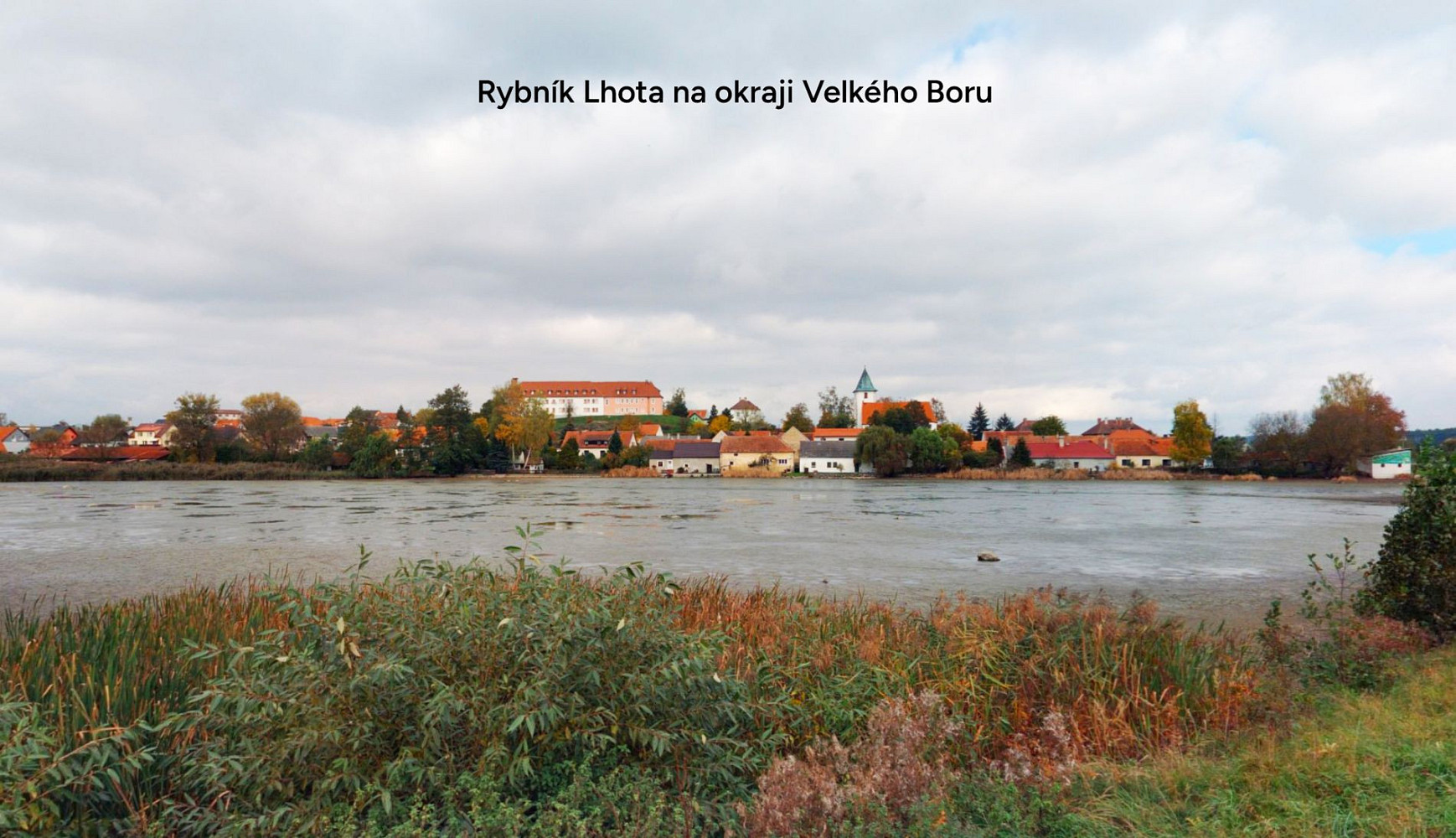 Prodej lesa 16 139 m² — photo 2