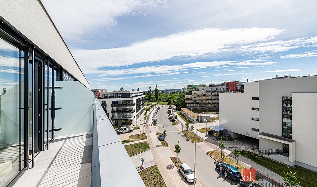 Pronájem bytu 2+kk 63 m², Plzeň – náhled fotky 17
