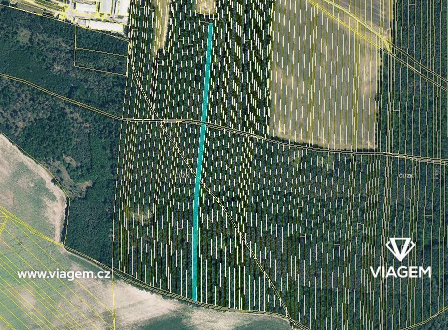 Prodej lesa 3 211 m² – fotografie 3