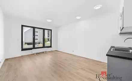 Pronájem bytu 1+kk 33 m²