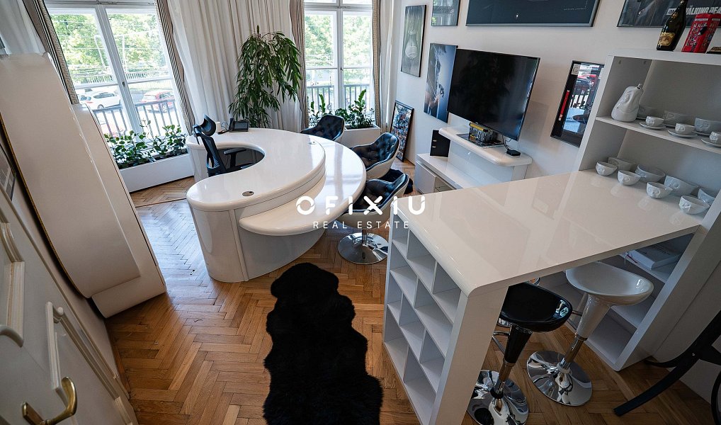 Prodej bytu 5+kk 287 m², Brno – náhled fotky 8