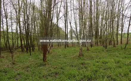 Prodej pozemku 618 m², Lestkov, okres Tachov