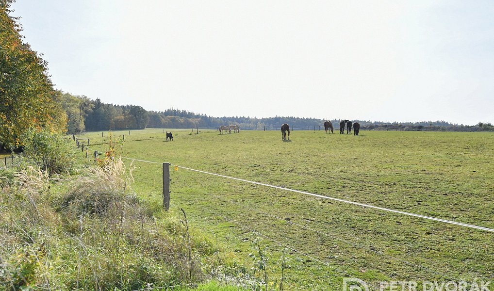 Prodej chaty/chalupy 58 m² s pozemkem 470 m², Babice – náhled fotky 19
