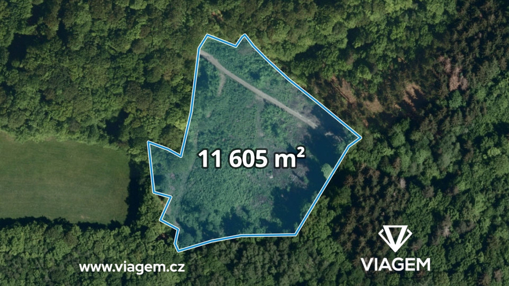 Prodej lesa 5 802 m²