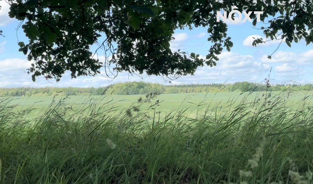 Prodej domu 215 m² s pozemkem 900 m², Puclice – náhled fotky 23