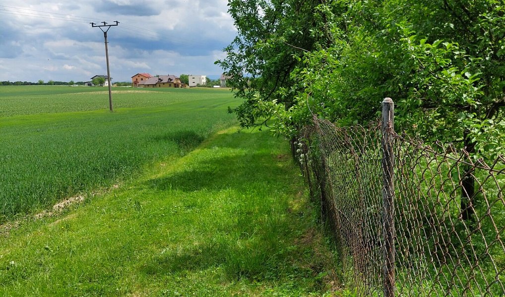 Prodej stavebního pozemku 550 m², Bělotín – náhled fotky 6