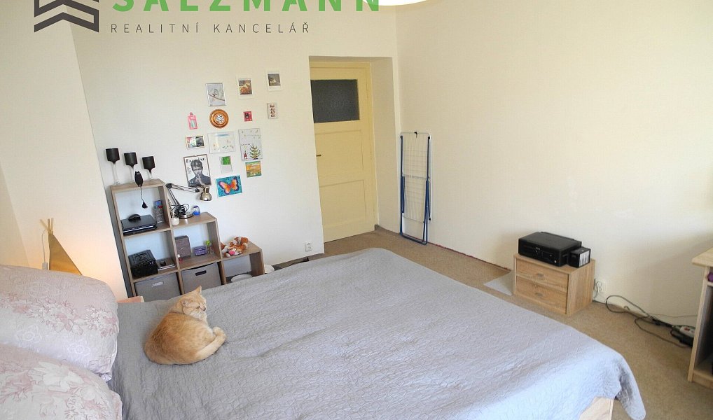 Prodej bytu 2+kk 42 m², Plzeň – náhled fotky 7