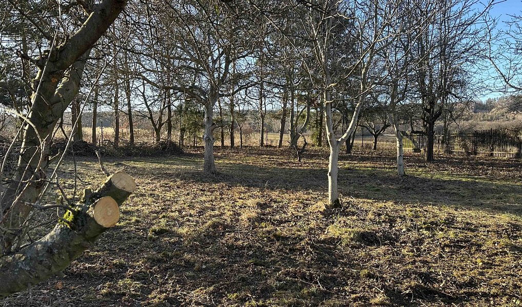 Prodej stavebního pozemku 1 472 m², Pičín – náhled fotky 6