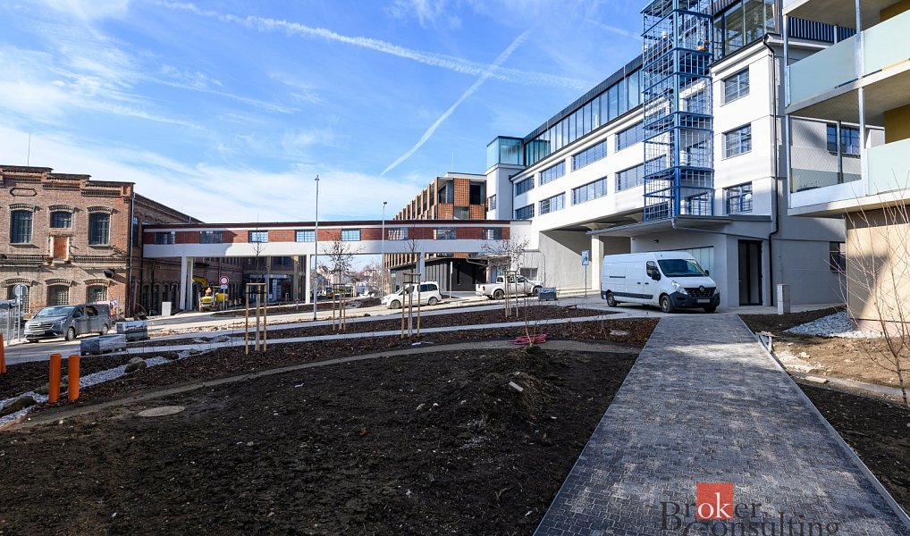 Pronájem kanceláře 219 m², Plzeň – náhled fotky 3