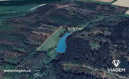 Prodej pole 3 959 m², Morašice, okres Chrudim
