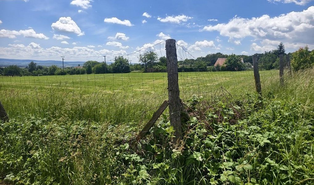 Prodej stavebního pozemku 867 m², Radslavice – náhled fotky 7