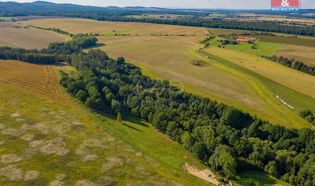 Prodej louky 6 183 m², Albrechtice nad Vltavou – náhled fotky 6