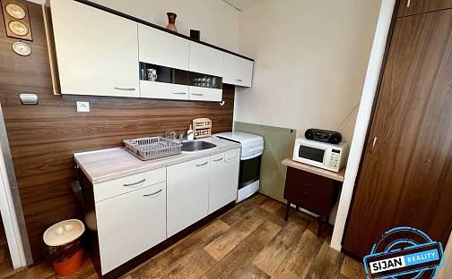 Pronájem bytu 1+1 38 m², Františka Hajdy, Ostrava - Hrabůvka