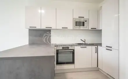 Pronájem bytu 1+kk 29 m²