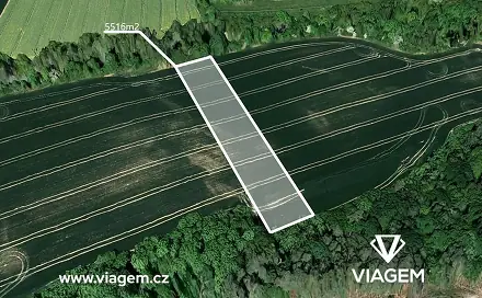 Prodej pole 1 379 m², Bechlín, okres Litoměřice