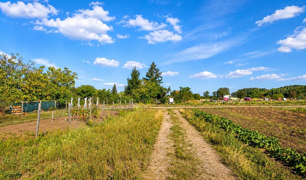 Prodej stavebního pozemku 943 m², Přísnotice – náhled fotky 7