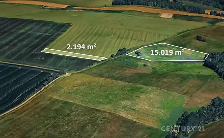 Prodej pole 17 213 m², Potštát, okres Přerov
