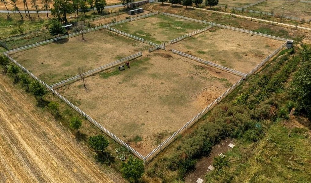 Prodej domu 5 889 m² s pozemkem 83 936 m², Vlasatice – náhled fotky 8