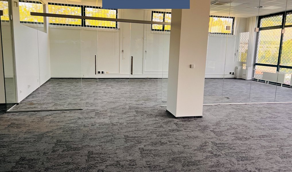 Pronájem obchodních prostor 1 290 m², Průhonice – náhled fotky 18