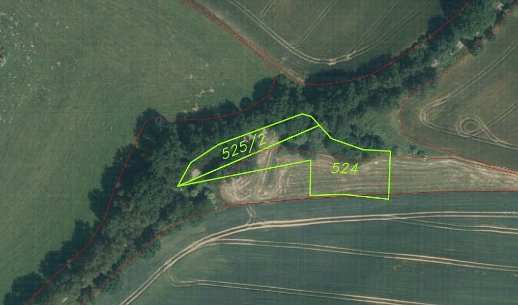Prodej pole 41 964 m², Zvěstov – náhled fotky 12