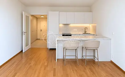 Pronájem bytu 1+kk 36 m²