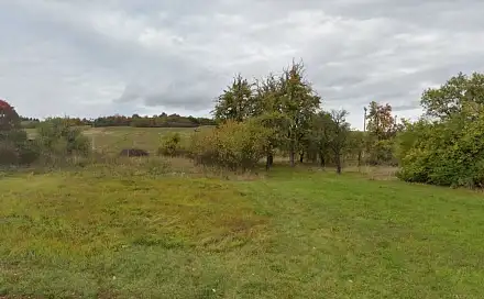 Dražba pole 5 233 m², Věšín